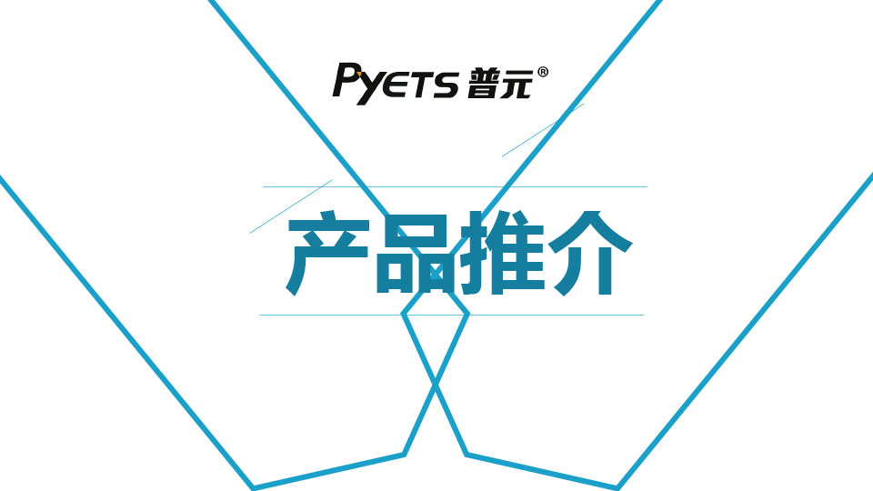 Manual de promoción electrónica de Pyets 2024.pdf
